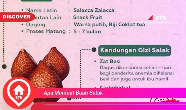 apa manfaat buah salak