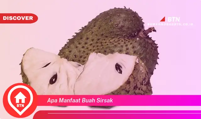 apa manfaat buah sirsak