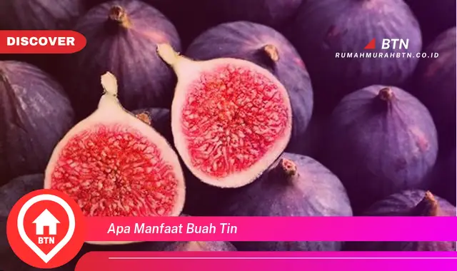 apa manfaat buah tin