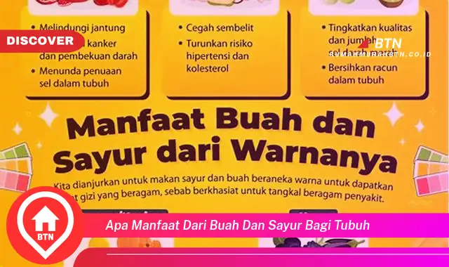 apa manfaat dari buah dan sayur bagi tubuh