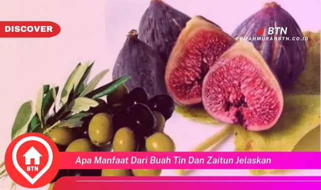 apa manfaat dari buah tin dan zaitun jelaskan