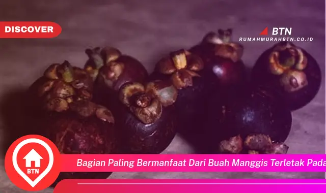 bagian paling bermanfaat dari buah manggis terletak pada