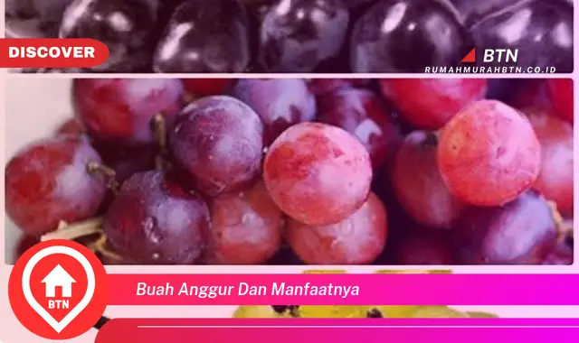 buah anggur dan manfaatnya