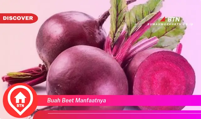 buah beet manfaatnya