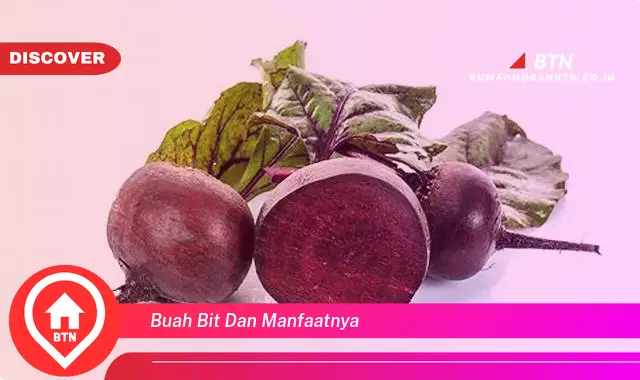 buah bit dan manfaatnya