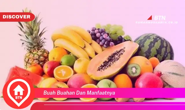 buah buahan dan manfaatnya