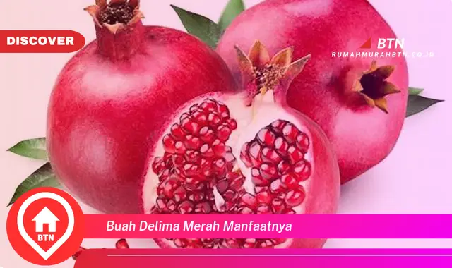 buah delima merah manfaatnya