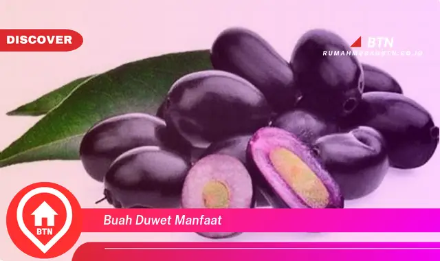 buah duwet manfaat