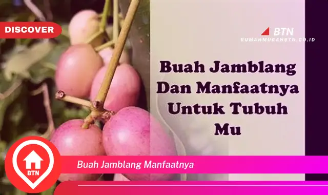 buah jamblang manfaatnya