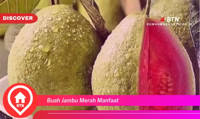 buah jambu merah manfaat