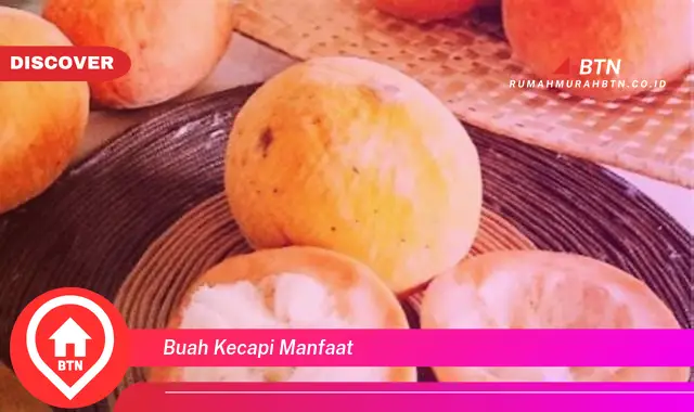 buah kecapi manfaat