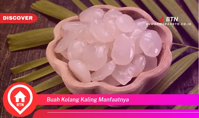 buah kolang kaling manfaatnya