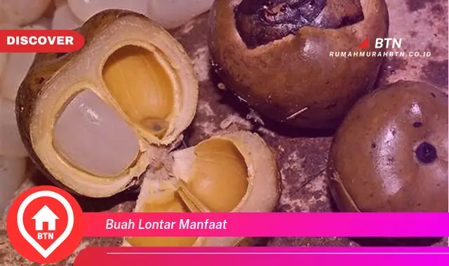 buah lontar manfaat