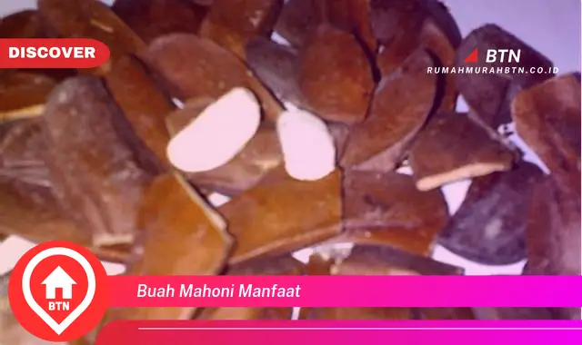 buah mahoni manfaat