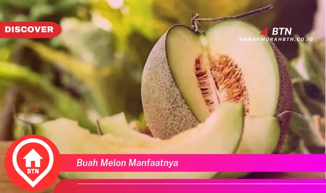 buah melon manfaatnya