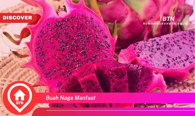 buah naga manfaat