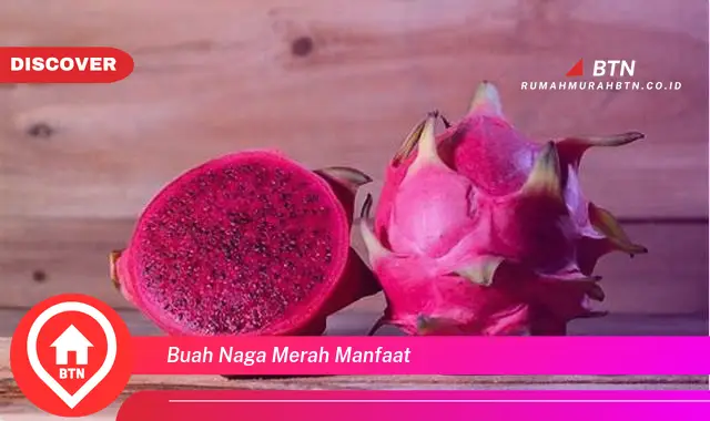 buah naga merah manfaat