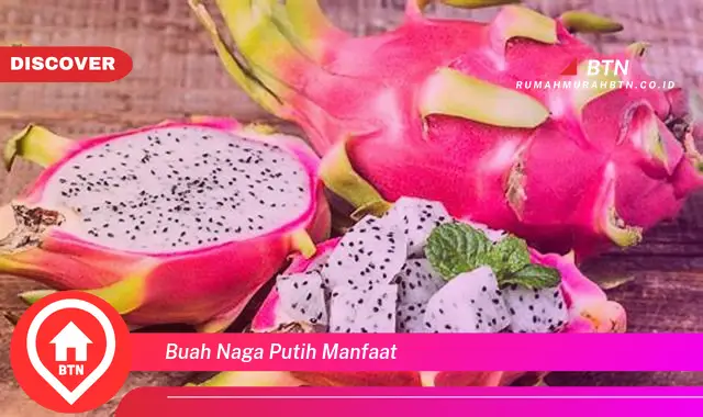 buah naga putih manfaat