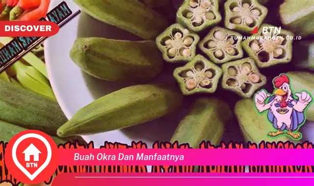 buah okra dan manfaatnya