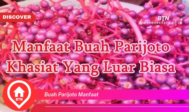 buah parijoto manfaat