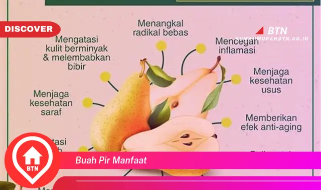 buah pir manfaat