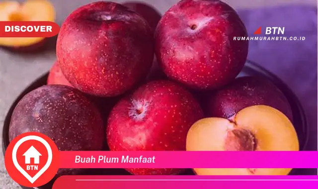 buah plum manfaat