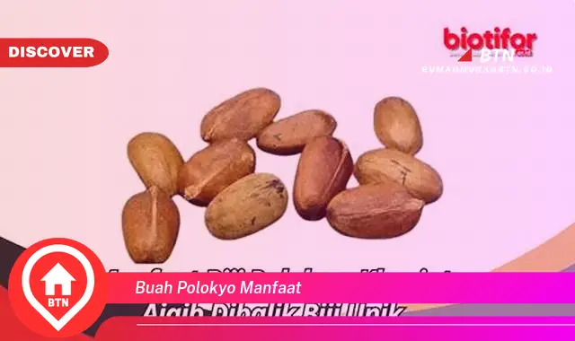 buah polokyo manfaat