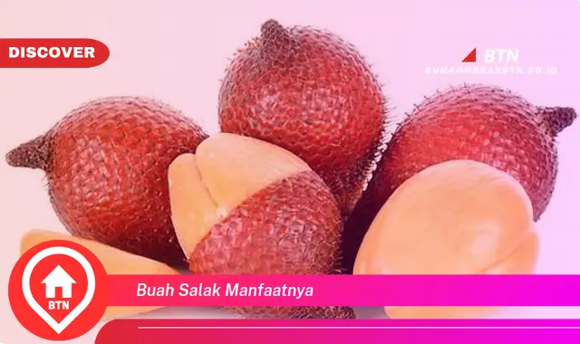 buah salak manfaatnya