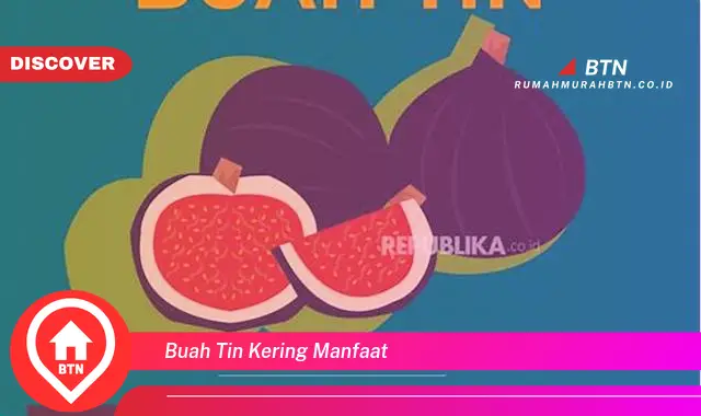 buah tin kering manfaat