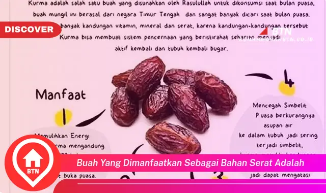 buah yang dimanfaatkan sebagai bahan serat adalah