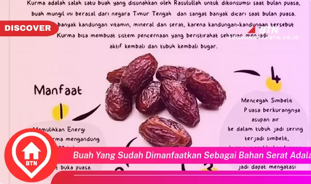 buah yang sudah dimanfaatkan sebagai bahan serat adalah