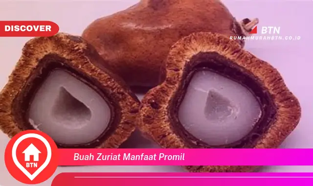 buah zuriat manfaat promil