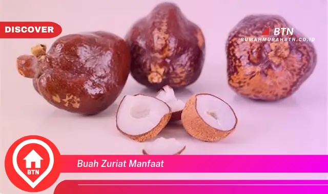 buah zuriat manfaat