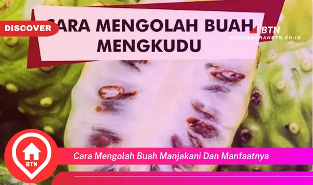 cara mengolah buah manjakani dan manfaatnya