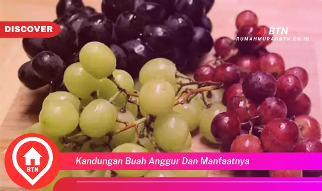 kandungan buah anggur dan manfaatnya