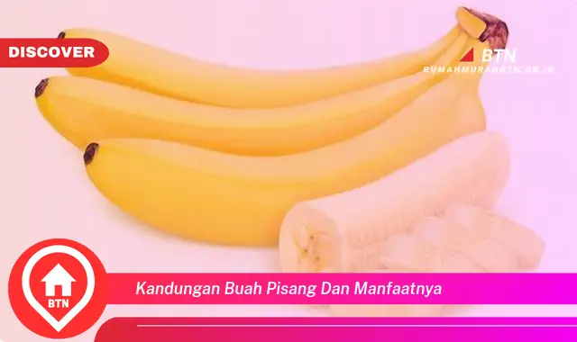 kandungan buah pisang dan manfaatnya