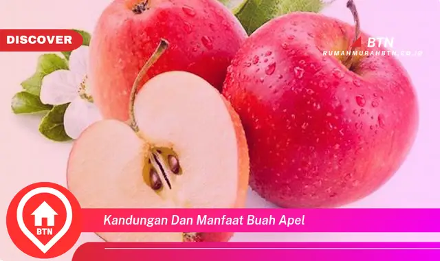 kandungan dan manfaat buah apel