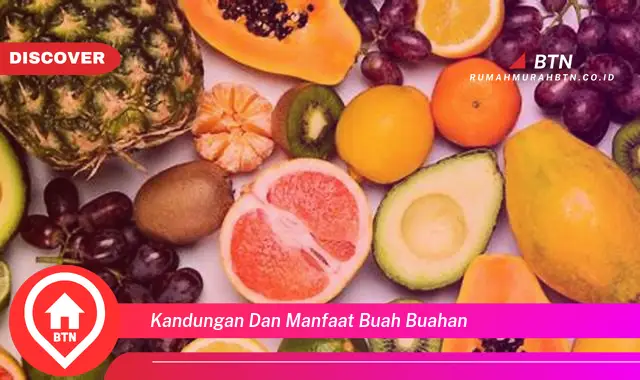 kandungan dan manfaat buah buahan