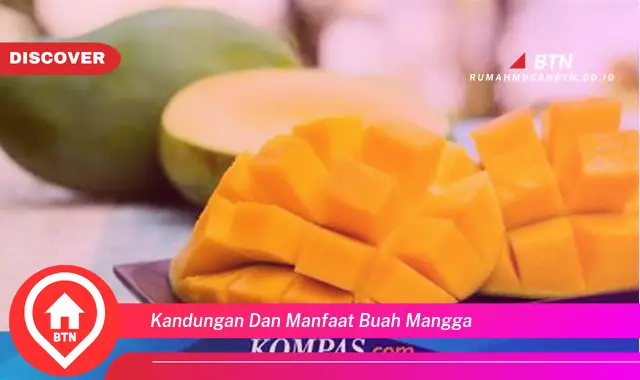 kandungan dan manfaat buah mangga