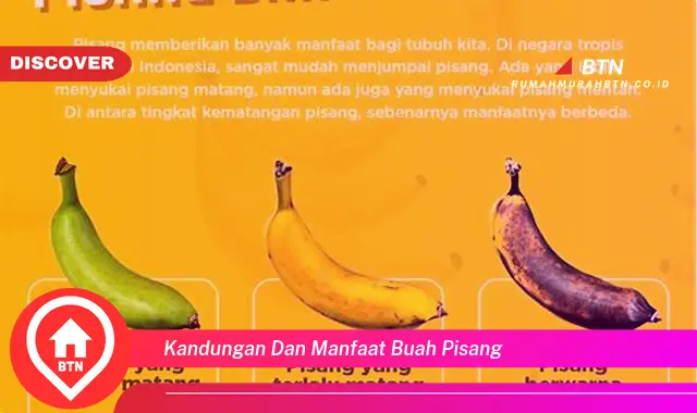 kandungan dan manfaat buah pisang