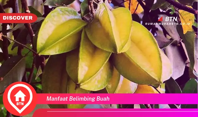 manfaat belimbing buah