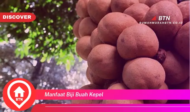 manfaat biji buah kepel