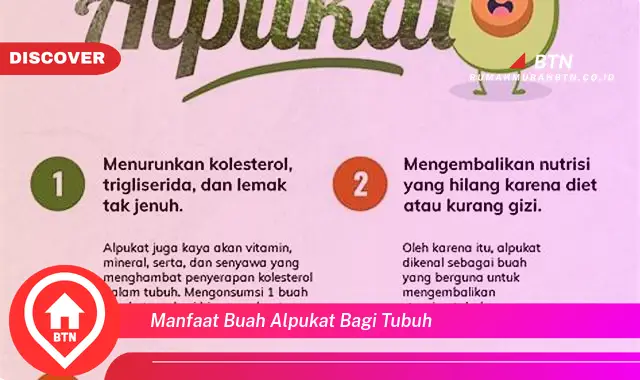 manfaat buah alpukat bagi tubuh