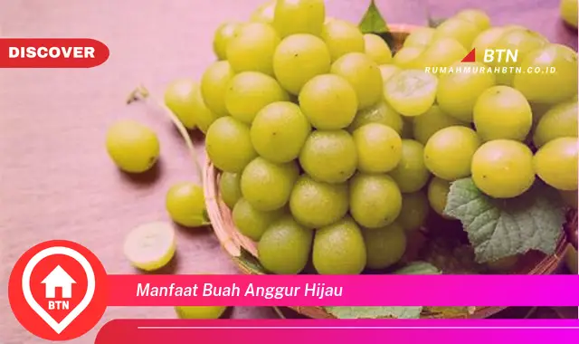 manfaat buah anggur hijau