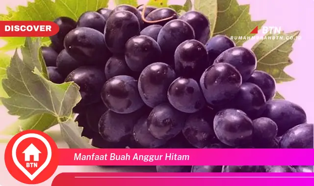 manfaat buah anggur hitam