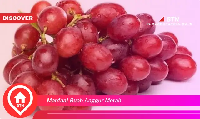 manfaat buah anggur merah