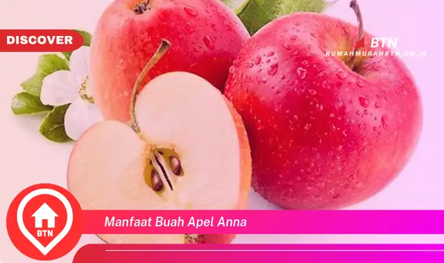 manfaat buah apel anna