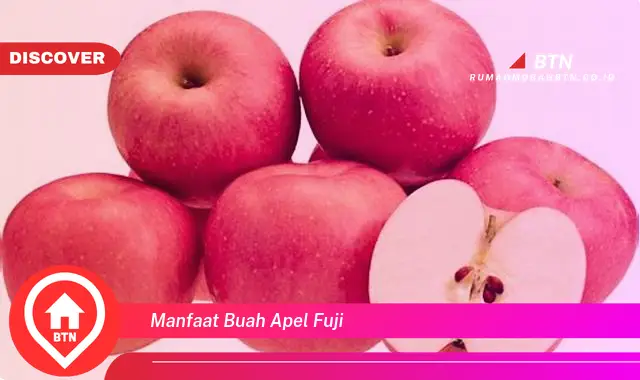 manfaat buah apel fuji