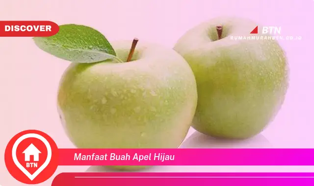 manfaat buah apel hijau