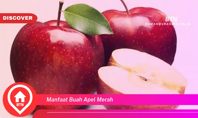 manfaat buah apel merah